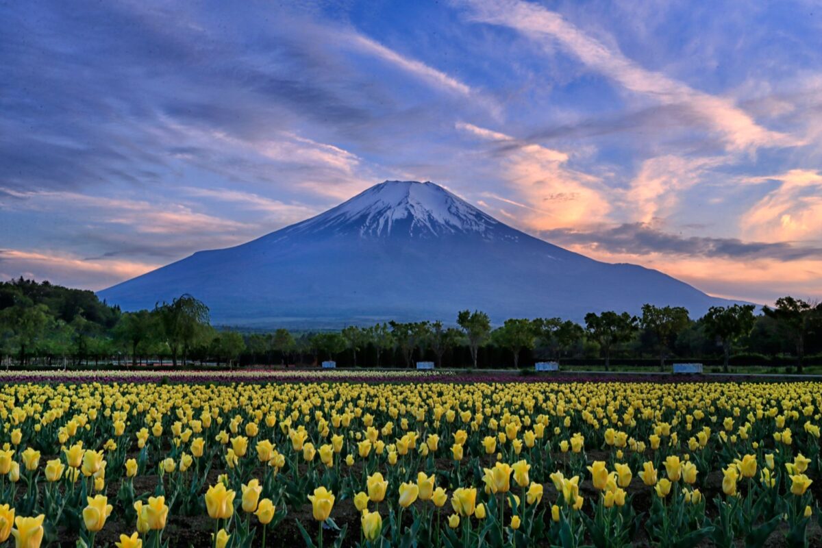 mont fuji père organiser sortie itinéraire