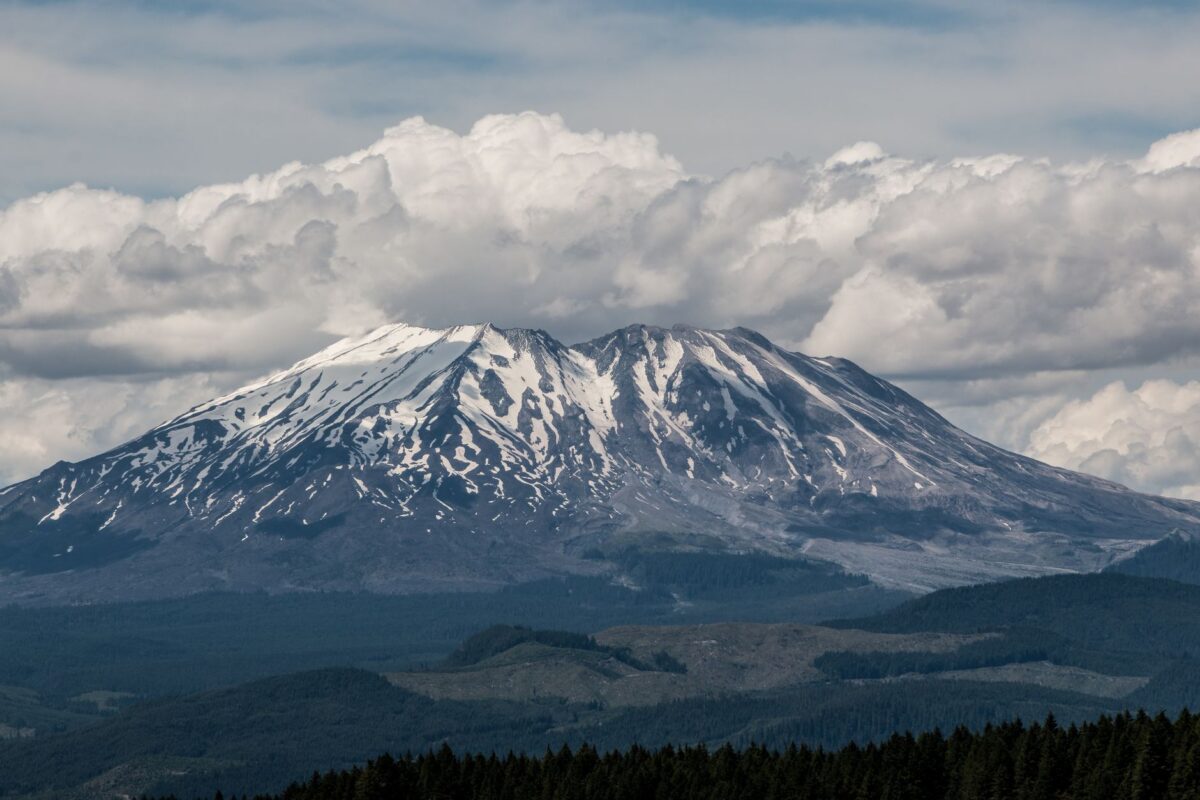 mont shasta gemini apps rôle