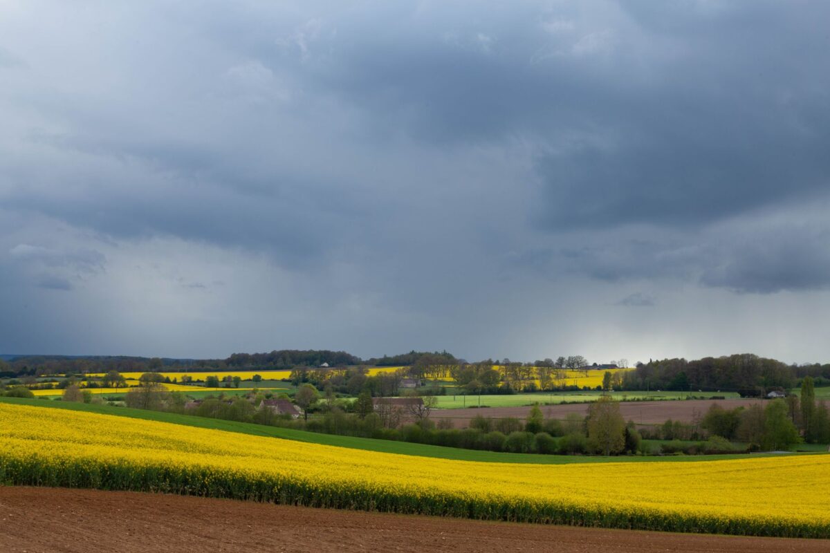 après ans erreurs erreur ignorer météo