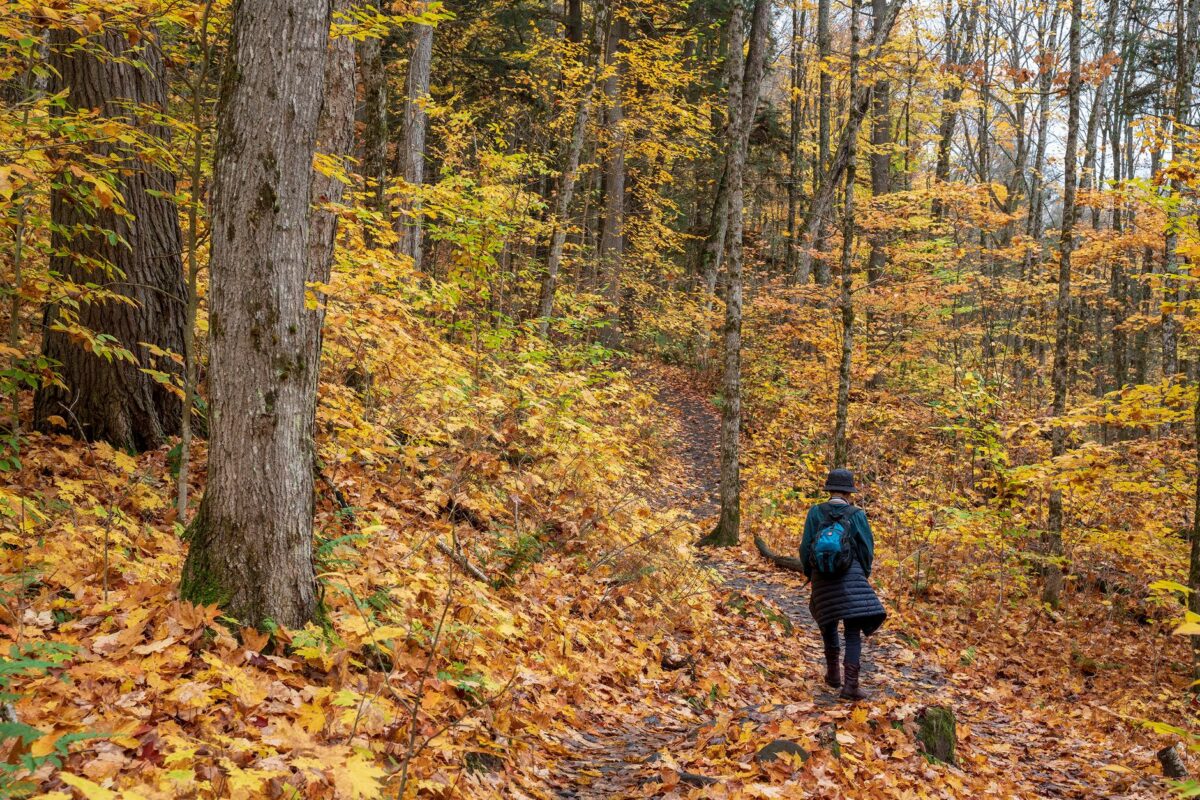 randonnée automne couche piège pas veste