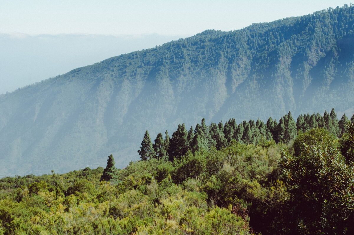 itinéraires européens marche tenerife gomera gérer