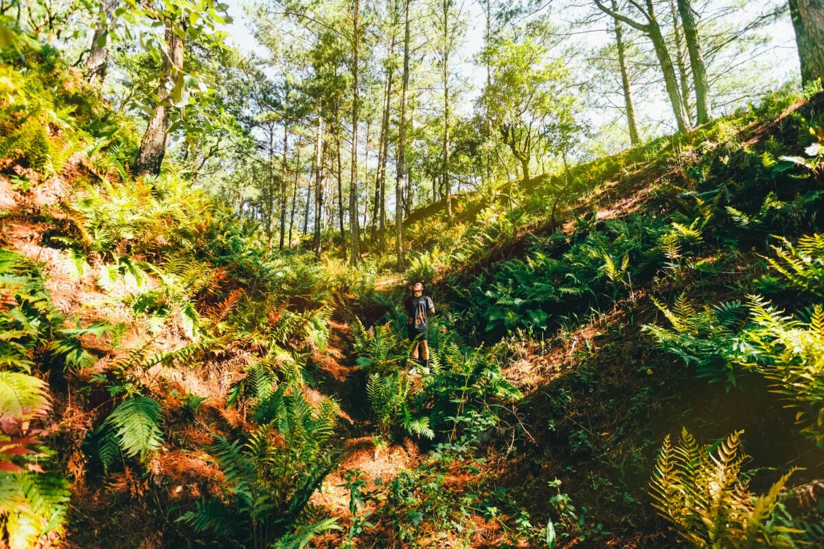 randonner lire paysage grands fonds gosier