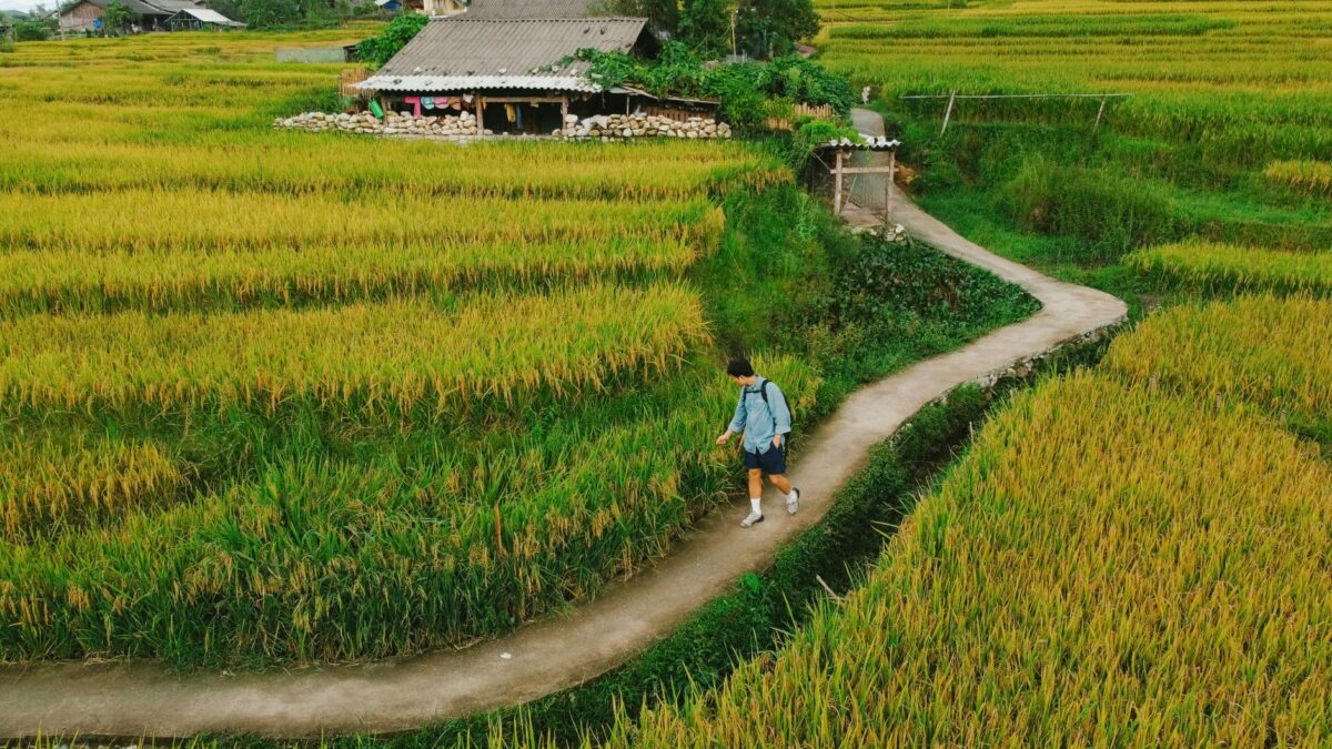 trek vietnam bien tableau décision comparer
